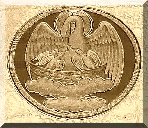 Divine Pelican
