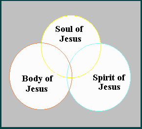 The body, Spirit and Soul of Jesus.
